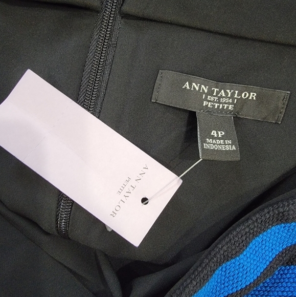 NEW Ann Taylor Black and Blue Striped Skirt Size 4 P - Picture 9 of 13